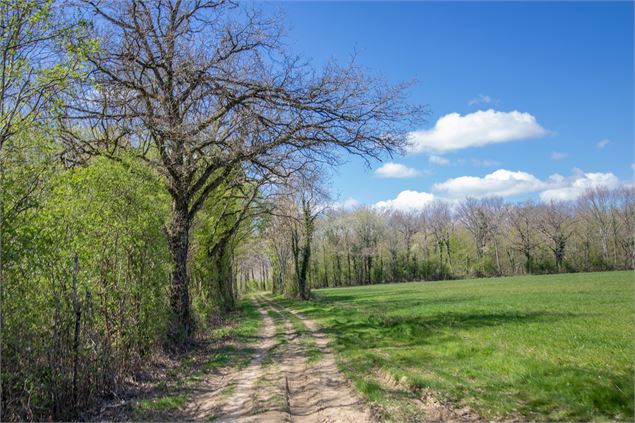 Chemin de terre de St Marcel à Birieux - M. Zeilfelder