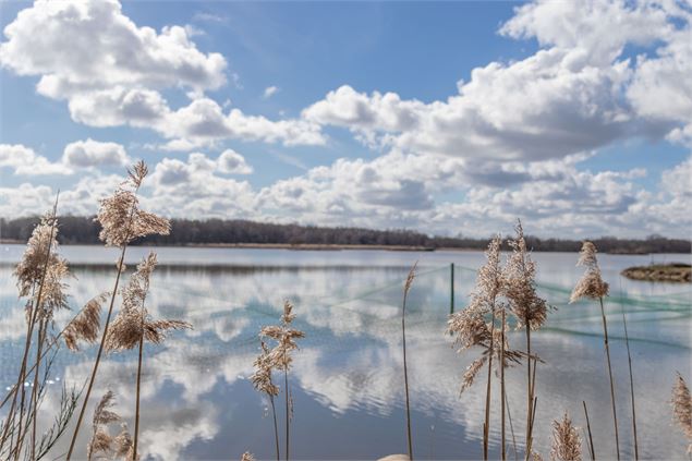Etang Moulin - M.Zeilfelder