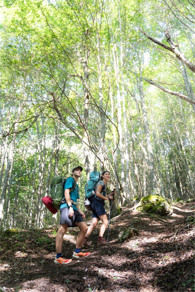 Bois des Feuillères - Alpigraphie / Kröll Matthias