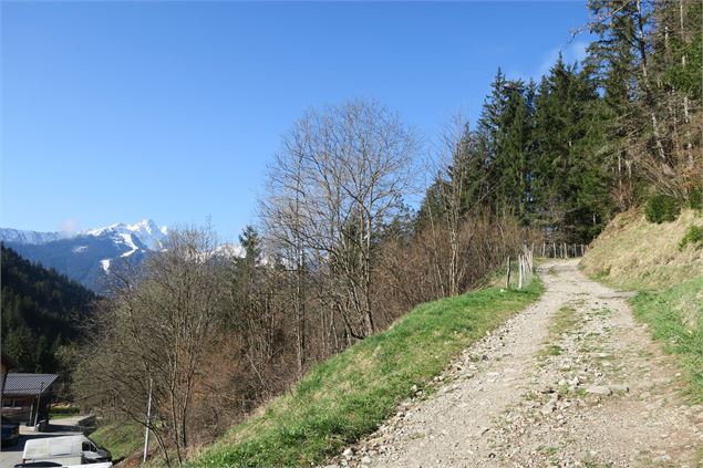 Chemin vers la Chaux - Victor Demilly / Vallée d'Aulps Tourisme