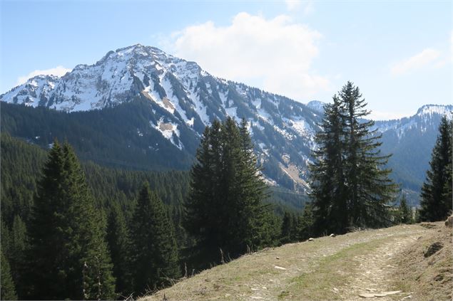 Pic de la Corne - Victor Demilly / Vallée d'Aulps Tourisme