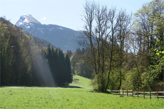 Les Dérèches - prés - Victor Demilly / Vallée d'Aulps Tourisme