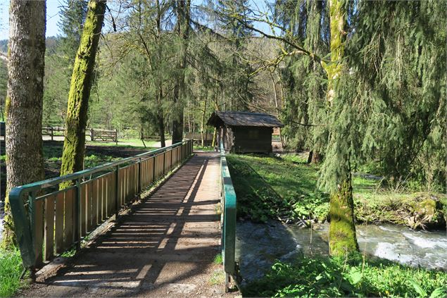 Pont de la ferme des Dérèches - Victor Demilly / Vallée d'Aulps Tourisme
