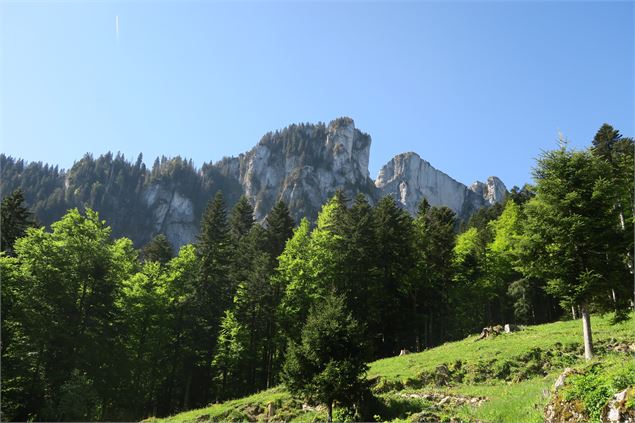Randonnée pédestre : refuge de Mévonne_La Vernaz - Victor Demilly