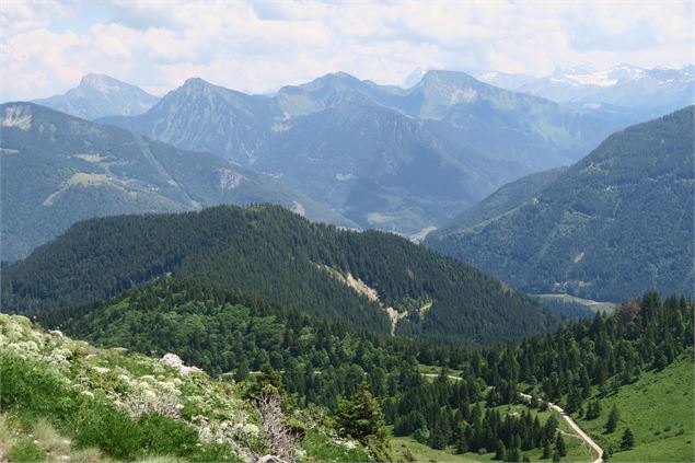 Monts du Chablais - randonnée - Victor Demilly / Vallée d'Aulps Tourisme