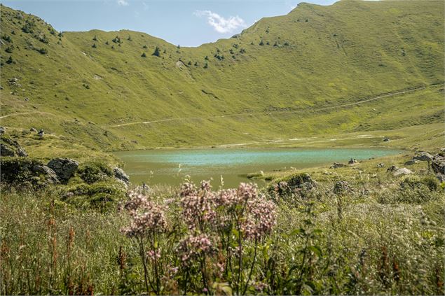 Lac vert - Lucie Tanguy / Vallée d'Aulps Tourisme