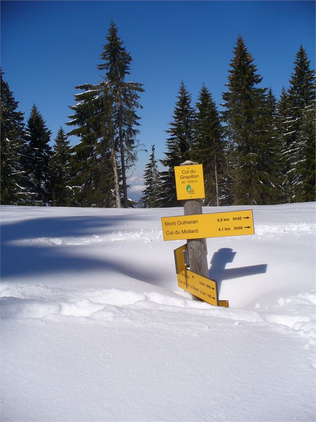 Le col du Grapillon - Office de tourisme des Entremonts