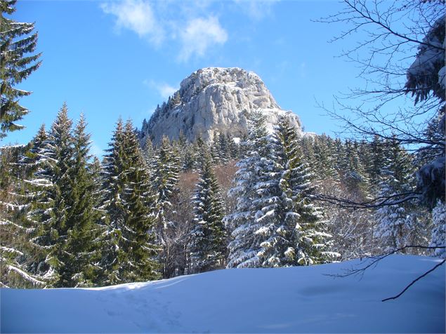 La Cochette en raquettes - Office de tourisme des Entremonts