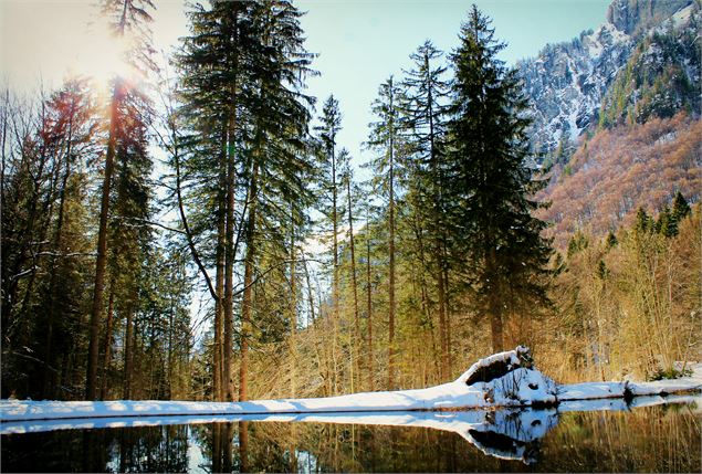 Sur le chemin à l'arrivée - Charline Dawant