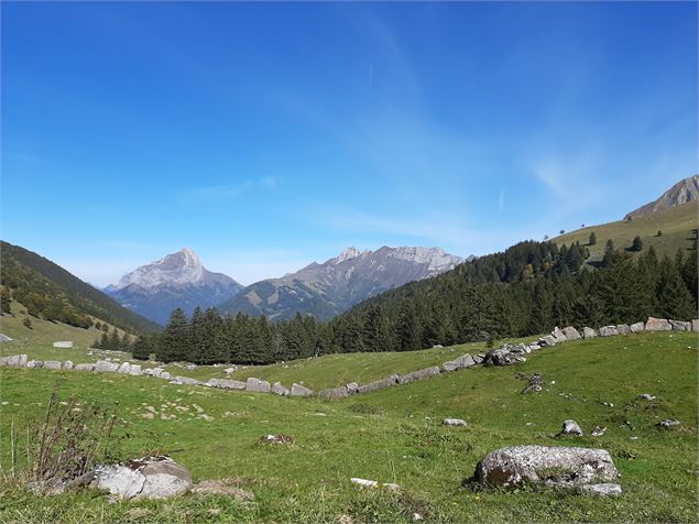 Le vallon de l'Arclusaz - Elora Sepulcri