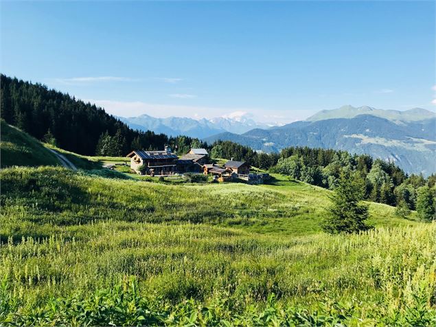 Les alpages de la Traie en été - Aymoz S.