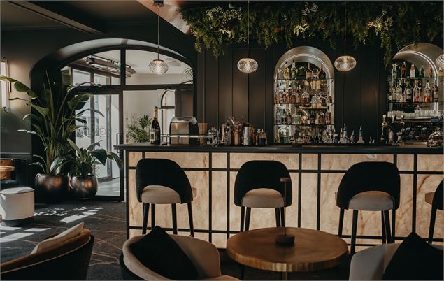 barlounge-aixlesbainsrivieradesalpes-M.Charles - Maison Lina