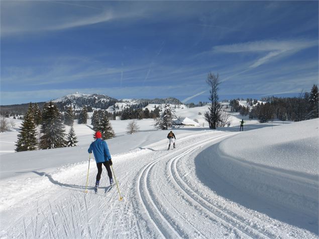 Neige hiver - ©AMbarbe