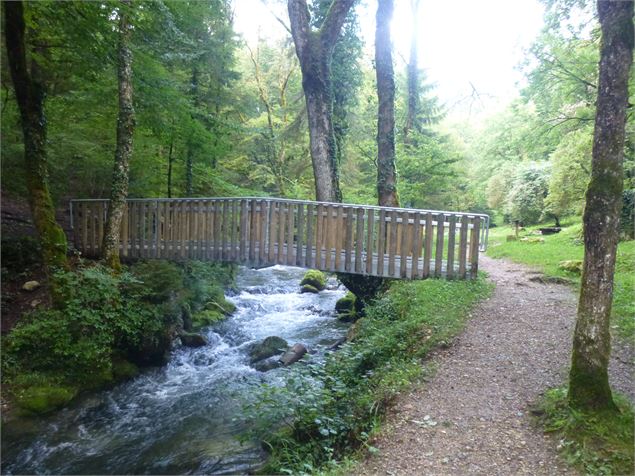 Sources de l'Allondon - ©AM. Barbe