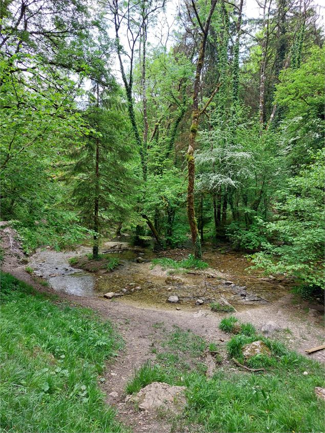 Promenade des sources de l'Allondon - OTPGF