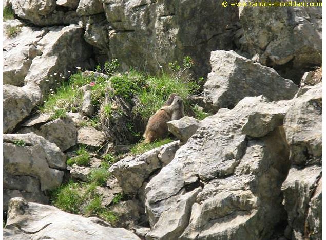 Tête de Bostan depuis Morzine_Morzine