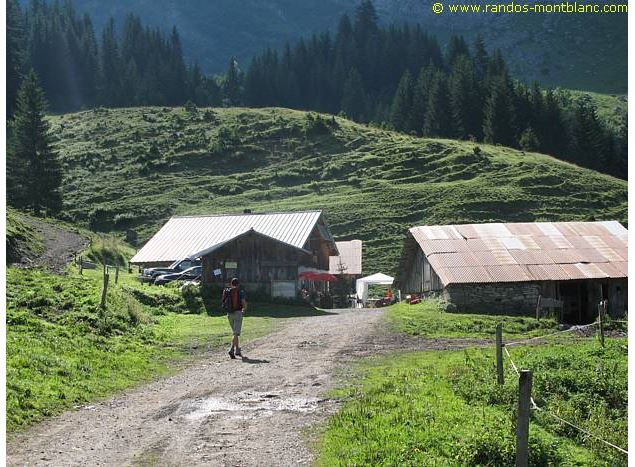 Tête de Bostan depuis Morzine_Morzine