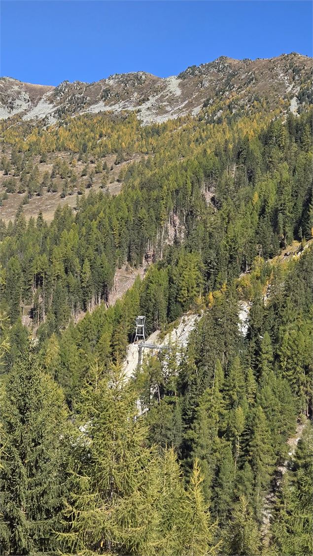 Passerelle des Dzoras_Riddes - @BenoitGaillard