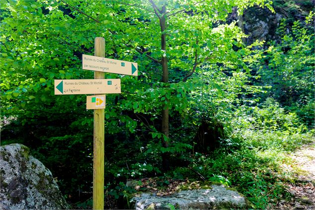 VTT Chateau Saint-Michel - OT Vallée de Chamonix MB