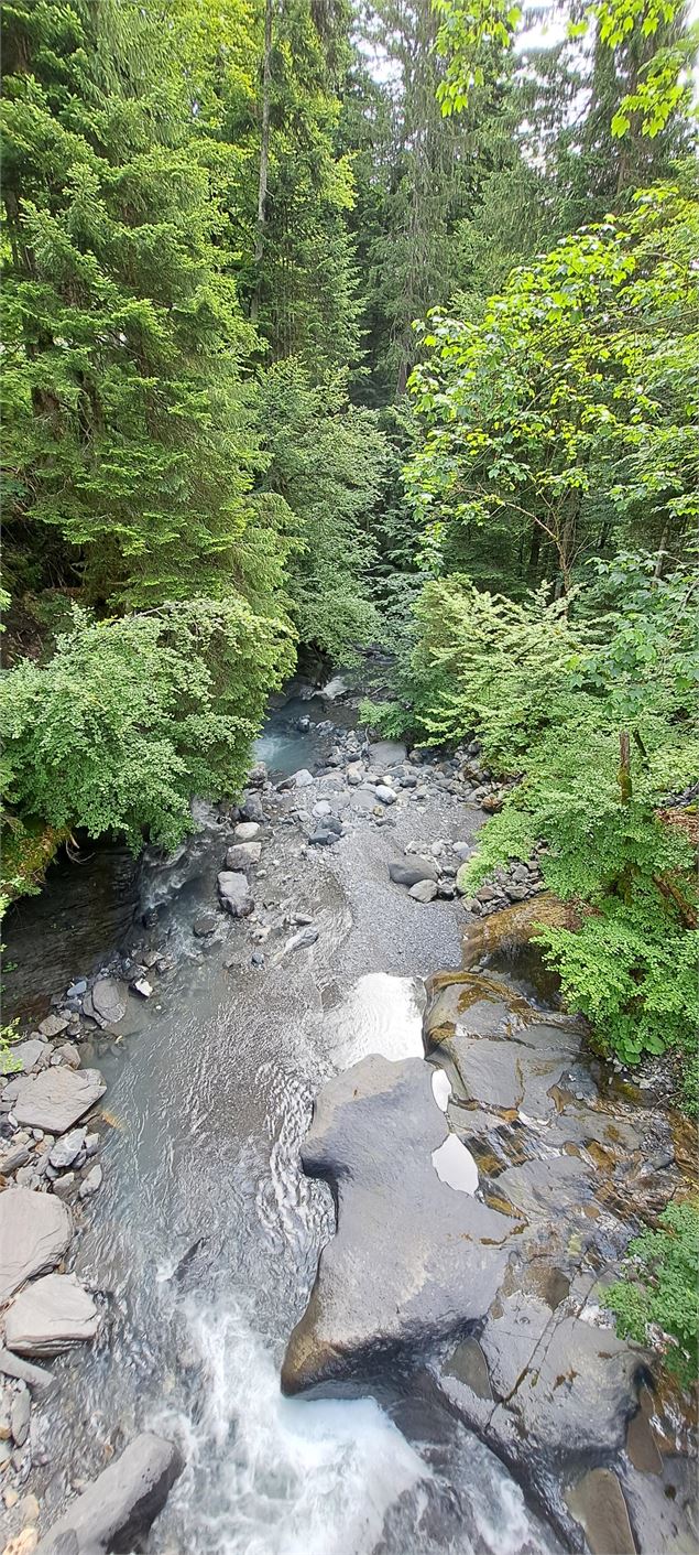Torrent de coeur sous le pont de la Flée - ©Cordon Tourisme