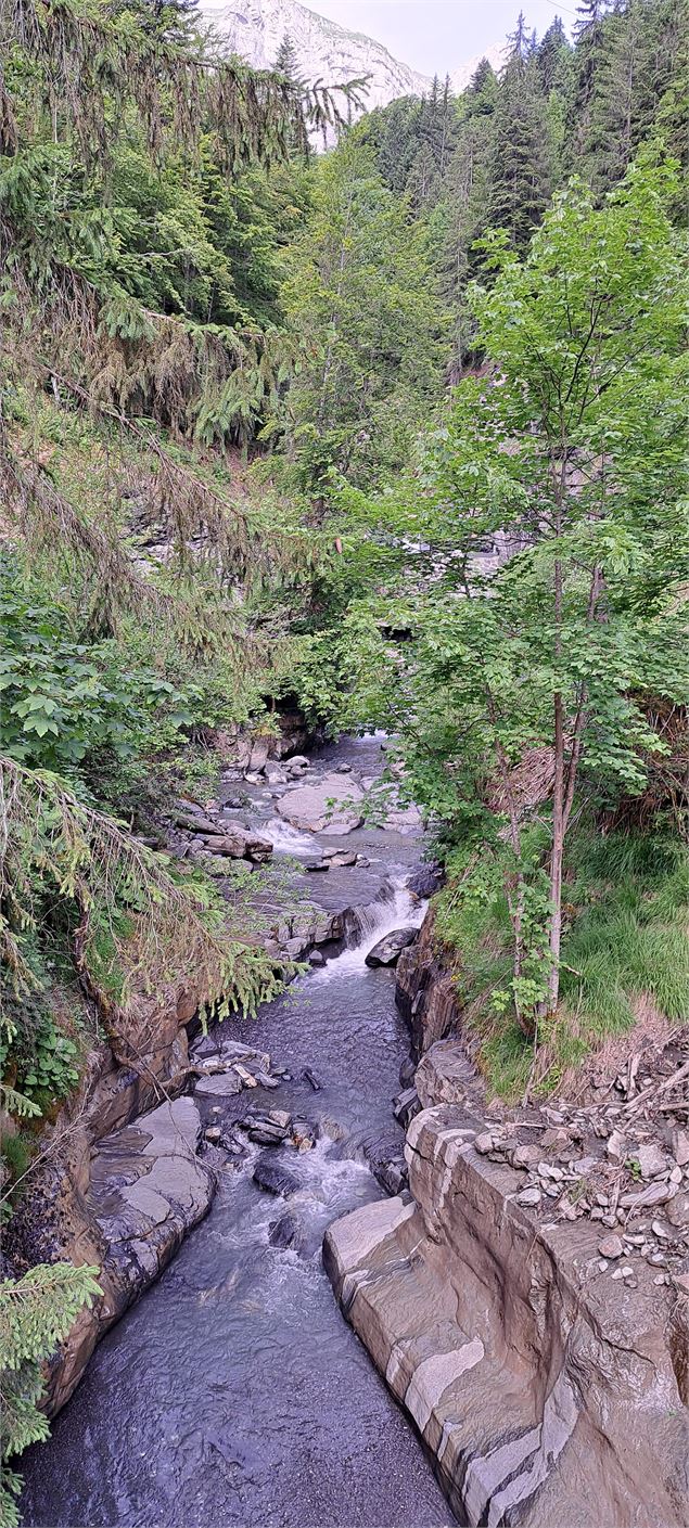 Torrent passant sous le Pont de la Flée - ©Cordon Tourisme