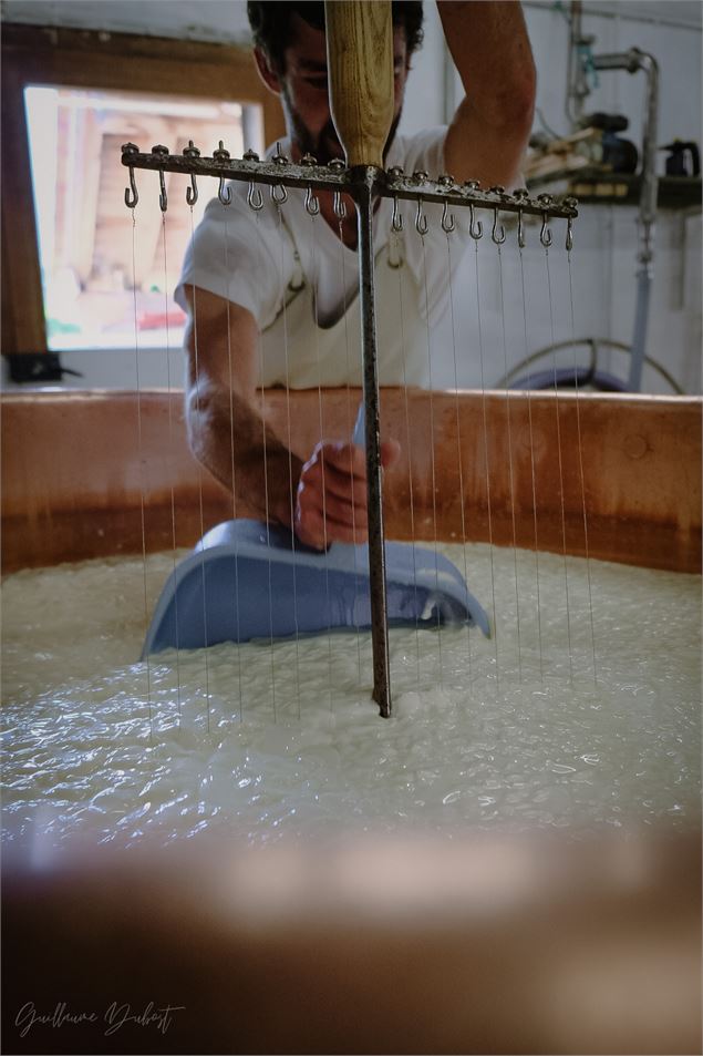 Décaillage - Suzanne Glise