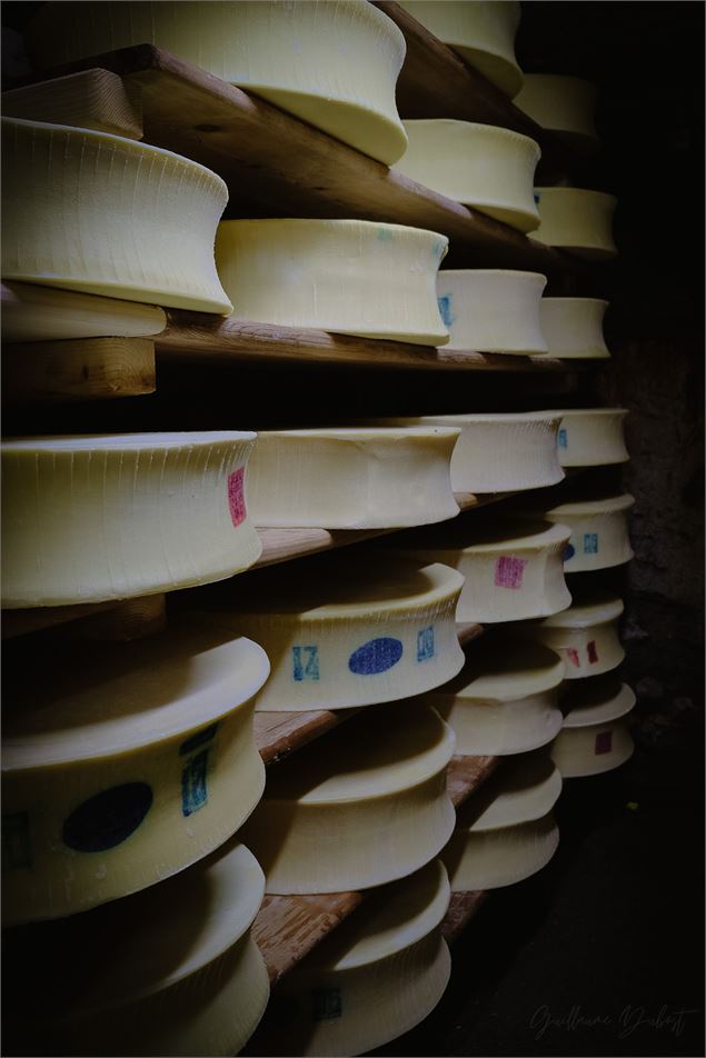 Cave d'affinage - Suzanne Glise