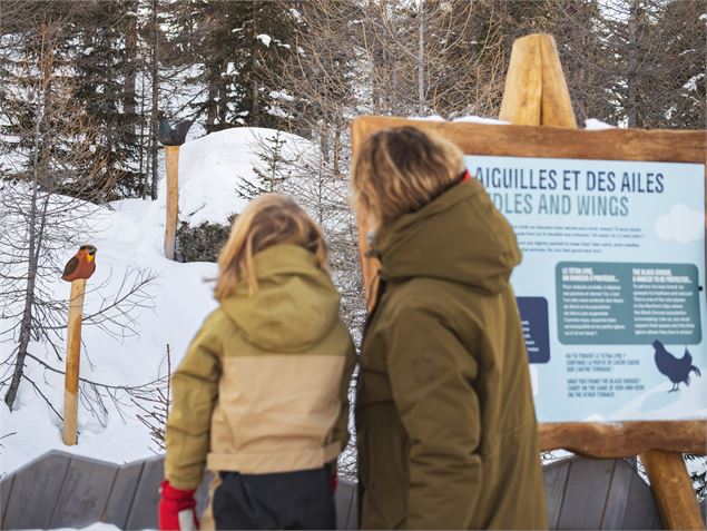 Les Géants de Malgovert depuis le sentier des Arollins - N. Secerov