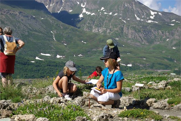 Ateliers enfants à la découverte des plantes alpines - OTHMV