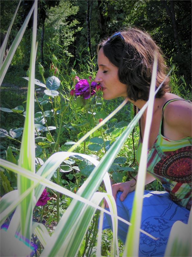 Jardins de Lornay - Jardins de Lornay