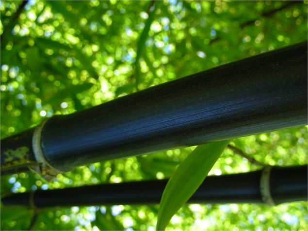 Jardins de Lornay - Jardins de Lornay