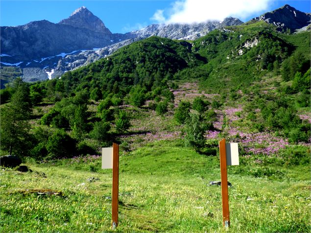 sentier lecture depaysage Rosuel - H. Suret PNV