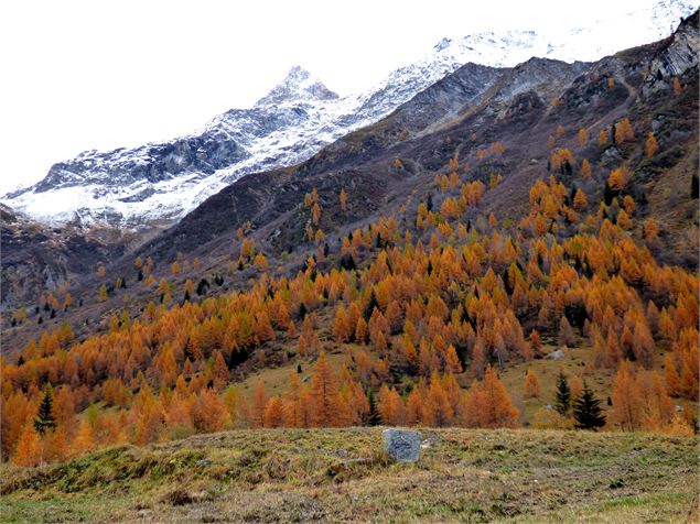 sentier lecture de paysage - H. Suret PNV