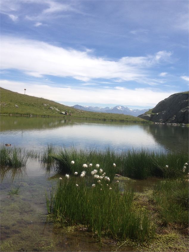 randonnée pédestre