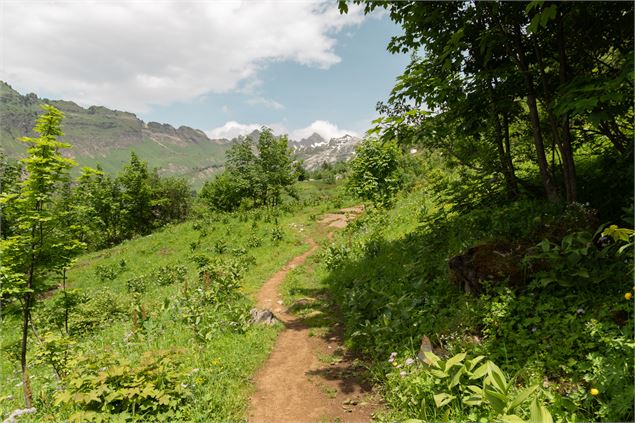 Sentier - Ot Samoëns - Mathilda Manzi
