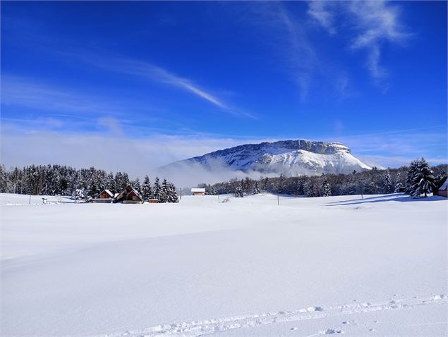 Piste piétonne - Boucle de Glaise_La Féclaz - C.Legouest