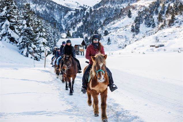 hiver 002 - ranch nordique