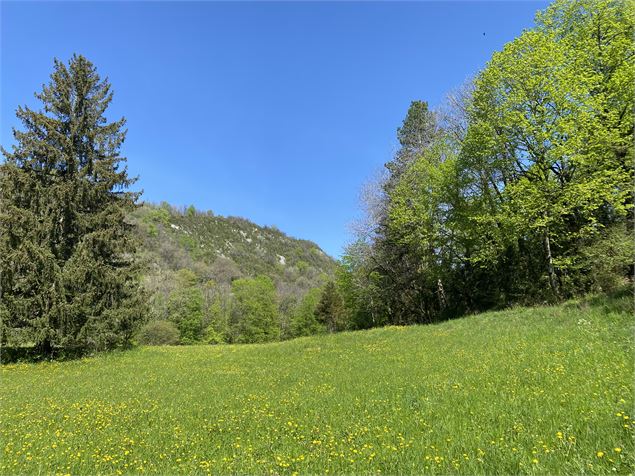 Parc de 3,6 hectares - GDF Ain