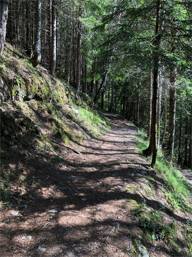 Montée à Planpraz - OTVCMB_MR