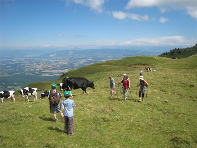 Le crêt de la goutte - Menthières - @Daniel Gillet