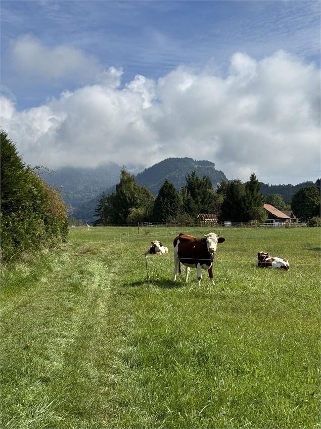 Sentier des grands prés - arnaud lesueur