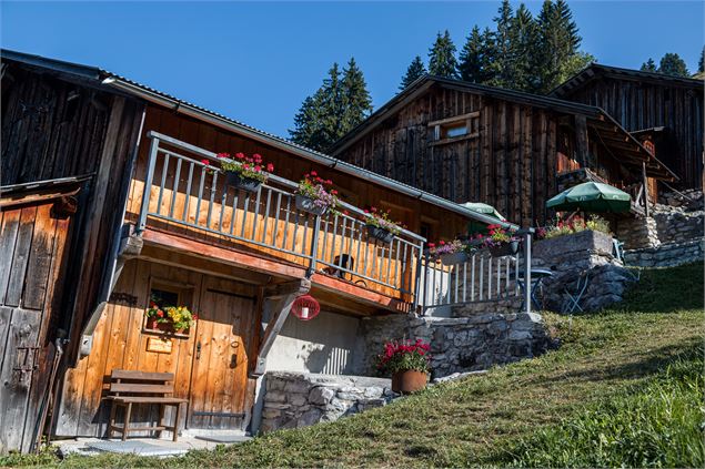 Chalet du Trot - Ot Samoëns - Mathilda Manzi