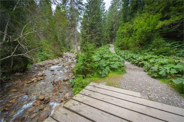 Vallon de They - Région Dents du Midi