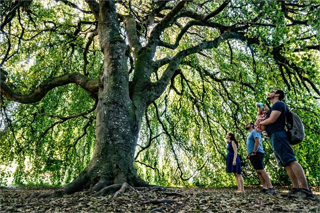 Pré Curieux 2 - Evian Tourisme