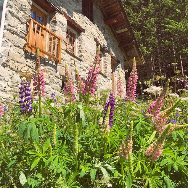 Le Chemin des Alpages - la rosiere