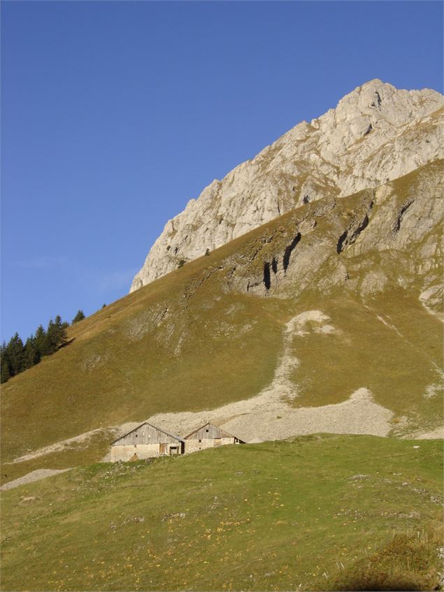 Cornettes de Bise - LChochon