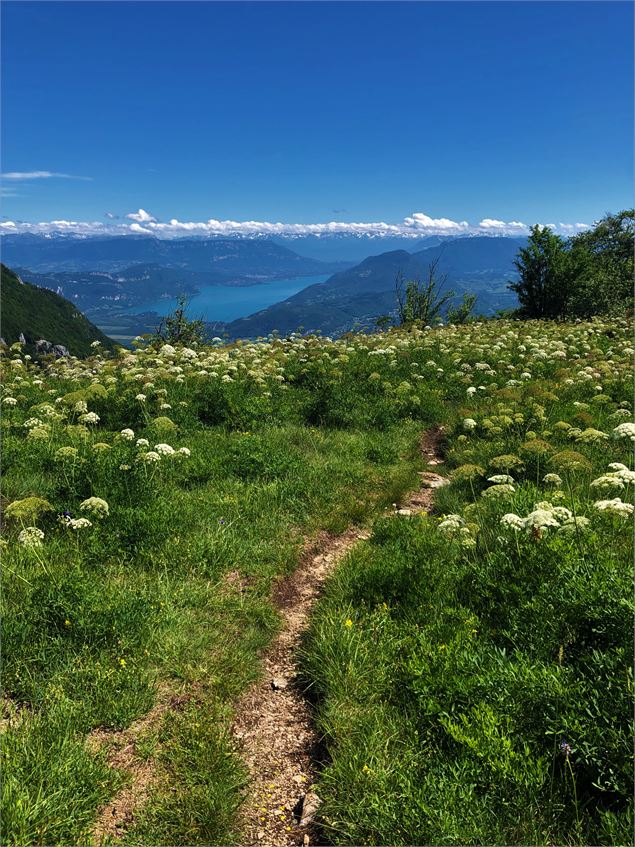 Sentier sur la Roche de Chanduraz - Maxime Ballet