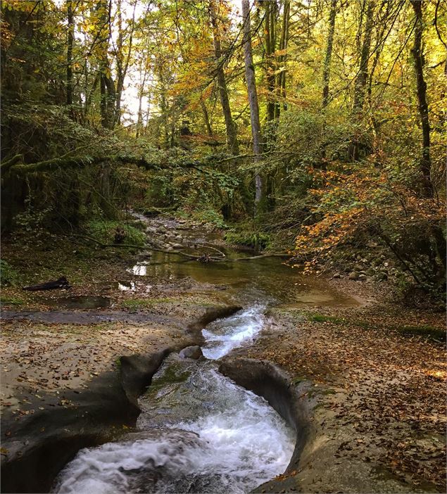 La rivière Arvière - Maxime Ballet