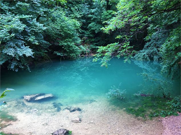 La source du Groin - Maxime Ballet