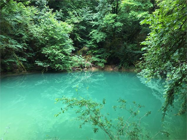 La source du Groin - Maxime Ballet